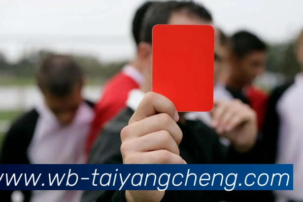 太阳城娱乐平台生态图