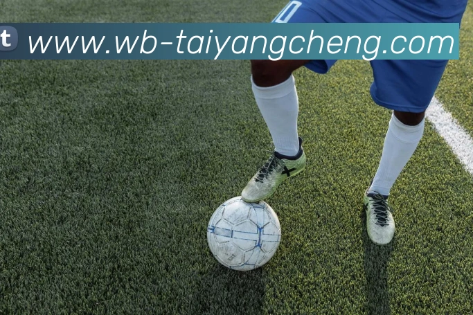 太阳城娱乐全站App 太阳城娱乐全站App