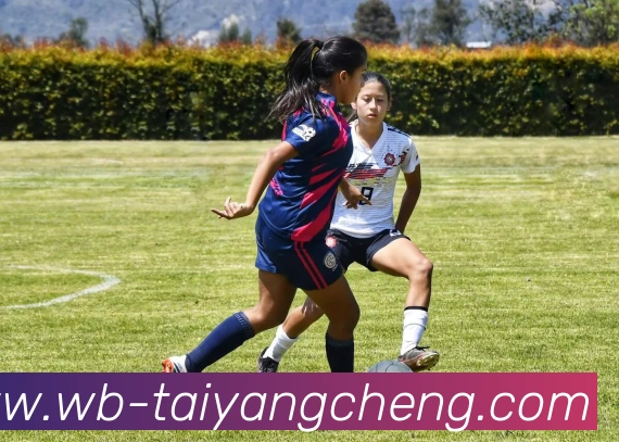 辅助工具 辅助工具